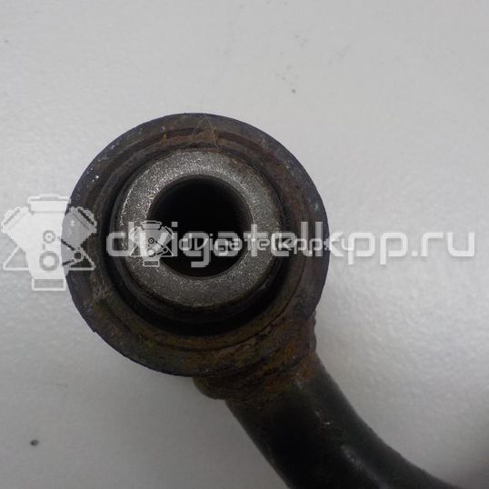 Фото Стойка заднего стабилизатора левая  55619jd00a для Renault Koleos