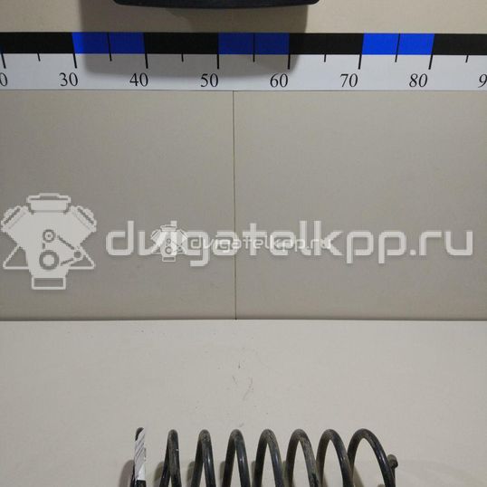 Фото Пружина задняя  6001548731 для Renault Logan