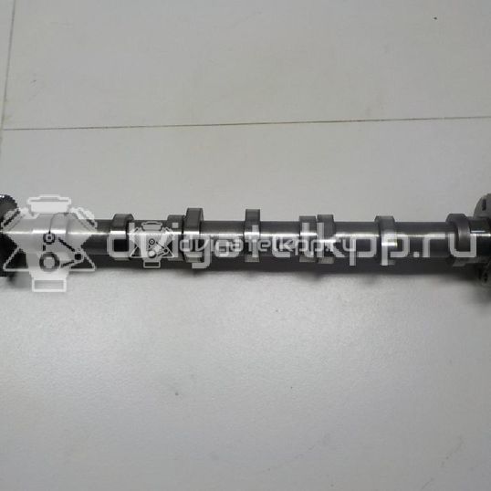 Фото Распредвал впускной для двигателя BMK для Volkswagen Phaeton 3D 224 л.с 24V 3.0 л Дизельное топливо 059109009BK