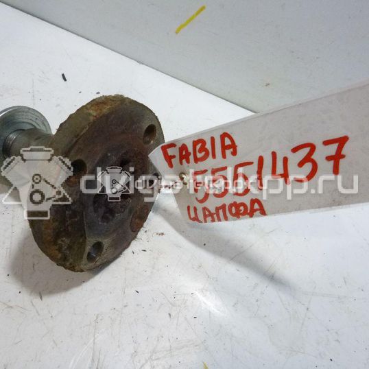 Фото Цапфа (п.з.к.)  6Q0501117 для Seat Ibiza / Cordoba / Mii Kf1
