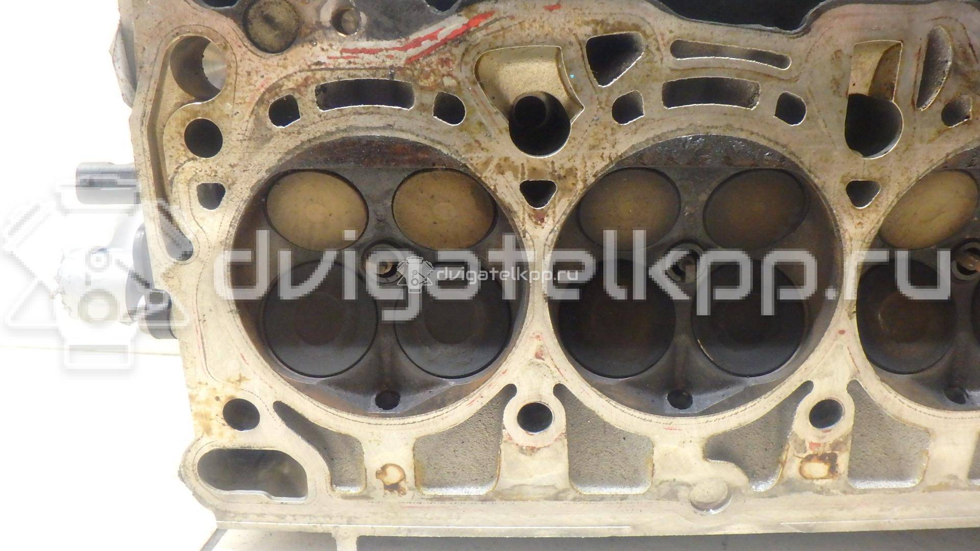 Фото Головка блока  для Volkswagen Passat / Beetle / Jetta {forloop.counter}}