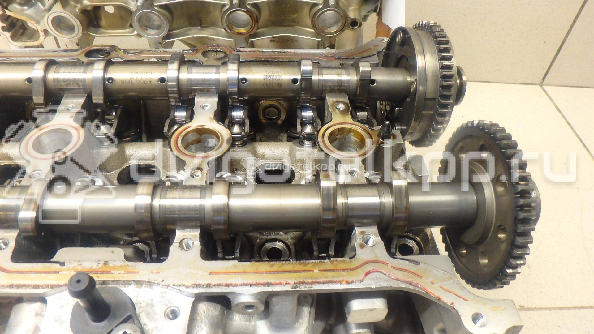 Фото Головка блока  для Volkswagen Passat / Beetle / Jetta {forloop.counter}}