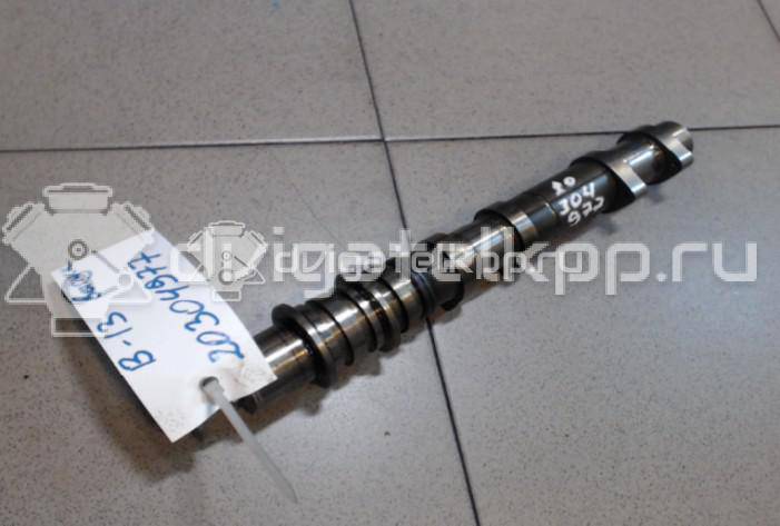 Фото Распредвал выпускной для двигателя EJ20 (Turbo) для Subaru Forester / Legacy / Impreza / Exiga Ya 211-250 л.с 16V 2.0 л бензин {forloop.counter}}