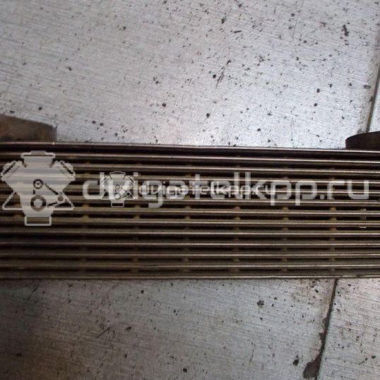 Фото Радиатор масляный  61319539 для Iveco Eurotech / Eurostar