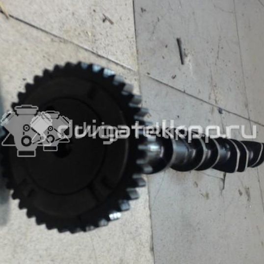 Фото Распредвал выпускной для двигателя M16A для Maruti Suzuki / Suzuki 99-142 л.с 16V 1.6 л бензин