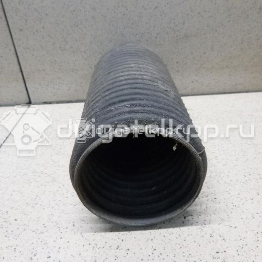 Фото Пыльник заднего амортизатора  20372FG000 для Subaru Legacy / Impreza / Outback