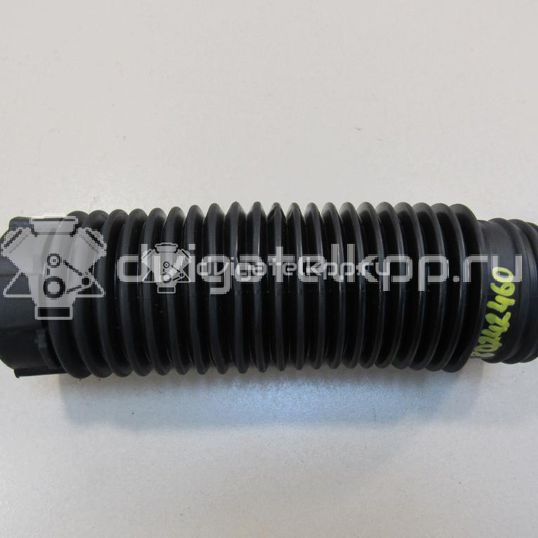 Фото Пыльник заднего амортизатора  20372FE010 для Subaru Forester / Legacy / Impreza