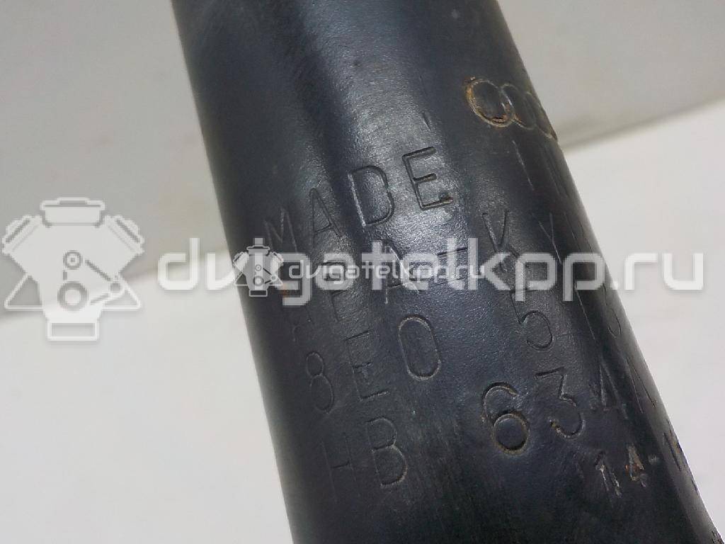 Фото Амортизатор задний  8E0513033B для Audi A4 {forloop.counter}}