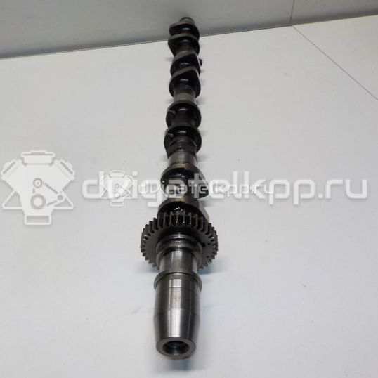 Фото Распредвал впускной для двигателя 1KD-FTV для Toyota Dyna / Land Cruiser / Hiace / Hilux / Toyo Ace C Y2 102-204 л.с 16V 3.0 л Дизельное топливо 1350130060