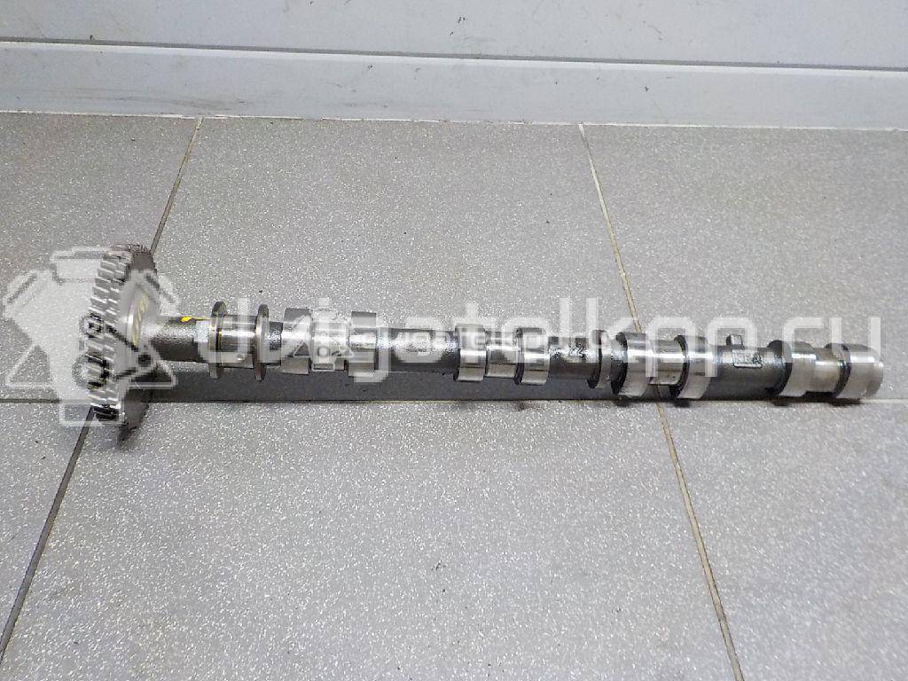 Фото Распредвал выпускной для двигателя 1VD-FTV для Toyota Land Cruiser 205-286 л.с 32V 4.5 л Дизельное топливо 1350251010 {forloop.counter}}