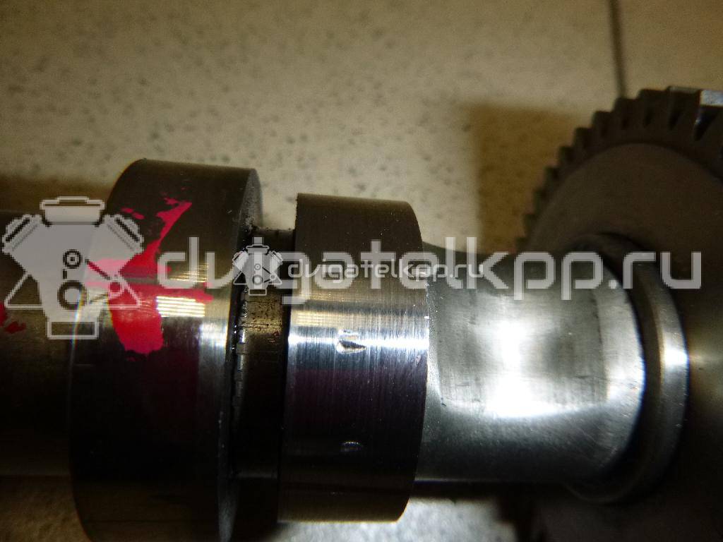 Фото Распредвал выпускной для двигателя BUG для Audi Q7 233 л.с 24V 3.0 л Дизельное топливо 059109009BL {forloop.counter}}