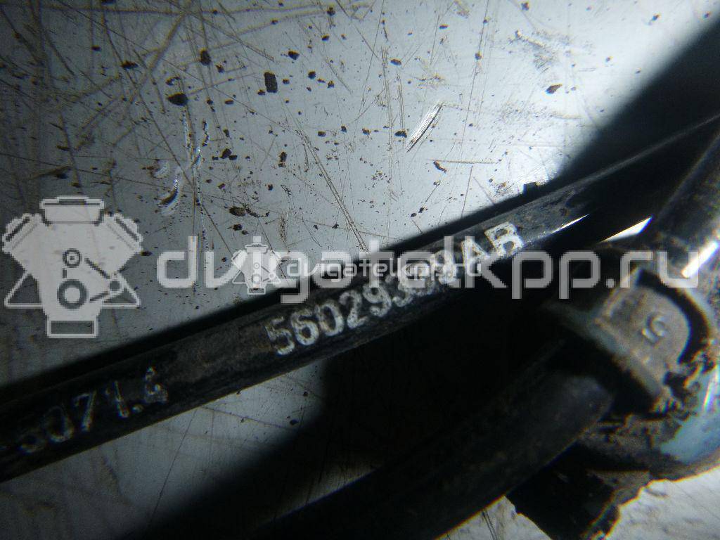 Фото Датчик ABS задний левый  56029339AB для Dodge Avenger / Journey {forloop.counter}}
