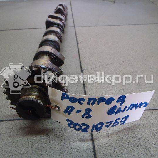 Фото Распредвал выпускной для двигателя AKG для Audi A8 299 л.с 32V 4.2 л бензин