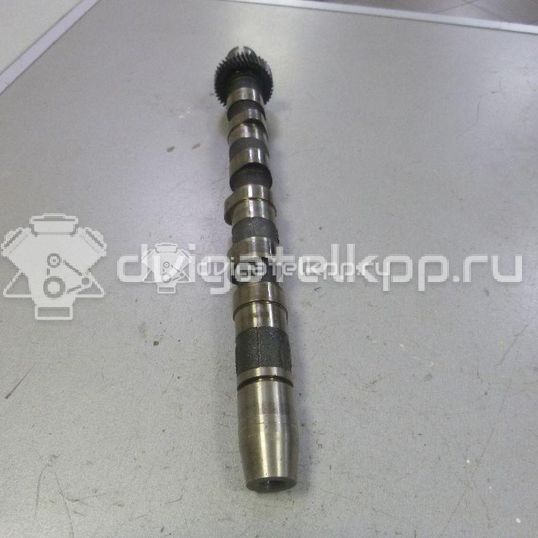 Фото Распредвал впускной для двигателя AKE для Audi A8 / Allroad / A6 180 л.с 24V 2.5 л Дизельное топливо