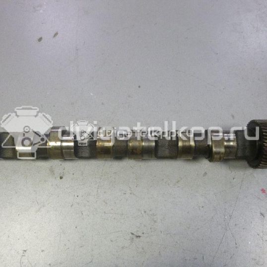 Фото Распредвал выпускной для двигателя AKE для Audi A8 / Allroad / A6 180 л.с 24V 2.5 л Дизельное топливо