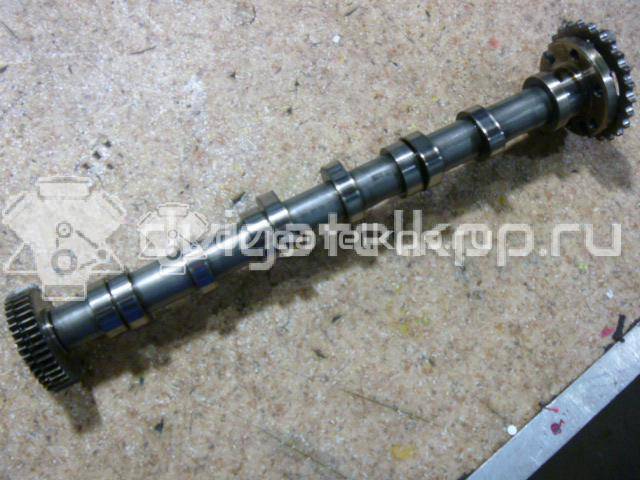 Фото Распредвал впускной для двигателя BUG для Audi Q7 233 л.с 24V 3.0 л Дизельное топливо 059109009BK {forloop.counter}}