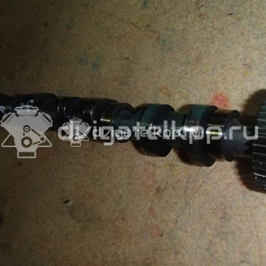 Фото Распредвал выпускной для двигателя BTR для Audi Q7 326 л.с 32V 4.1 л Дизельное топливо