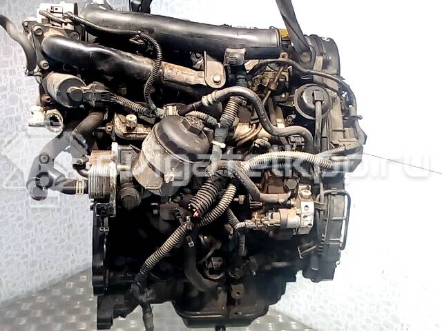 Фото Контрактный (б/у) двигатель Z 17 DTL для Opel / Vauxhall 80 л.с 16V 1.7 л Дизельное топливо Z17DTL {forloop.counter}}