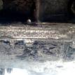 Фото Контрактный (б/у) двигатель OM 668.940 (OM668 DE 17 LA) для Mercedes-Benz A-Class 75-90 л.с 16V 1.7 л Дизельное топливо 668.940OM668DE17LA {forloop.counter}}