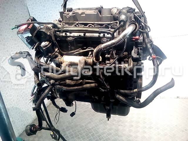 Фото Контрактный (б/у) двигатель F6JB для Ford Fiesta / Fusion Ju 68 л.с 8V 1.4 л Дизельное топливо 5E26874 {forloop.counter}}