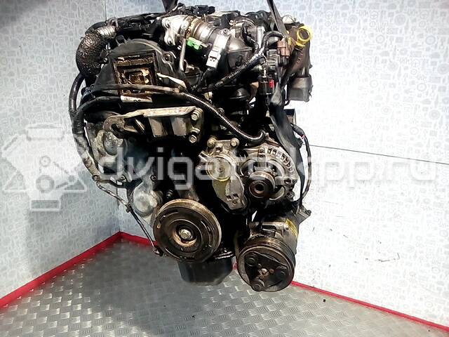 Фото Контрактный (б/у) двигатель G8DB для Ford Focus 109 л.с 16V 1.6 л Дизельное топливо 6P69334 {forloop.counter}}