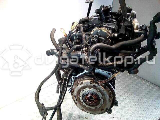 Фото Контрактный (б/у) двигатель AXR для Volkswagen / Seat 100 л.с 8V 1.9 л Дизельное топливо {forloop.counter}}