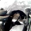 Фото Контрактный (б/у) двигатель BKD для Volkswagen Touran / Golf 140 л.с 16V 2.0 л Дизельное топливо {forloop.counter}}
