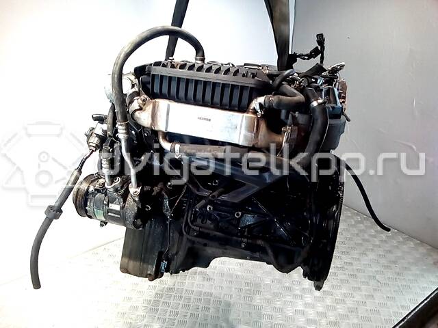 Фото Контрактный (б/у) двигатель OM 612.963 (OM 612 DE LA) для Mercedes-Benz M-Class 163 л.с 20V 2.7 л Дизельное топливо {forloop.counter}}