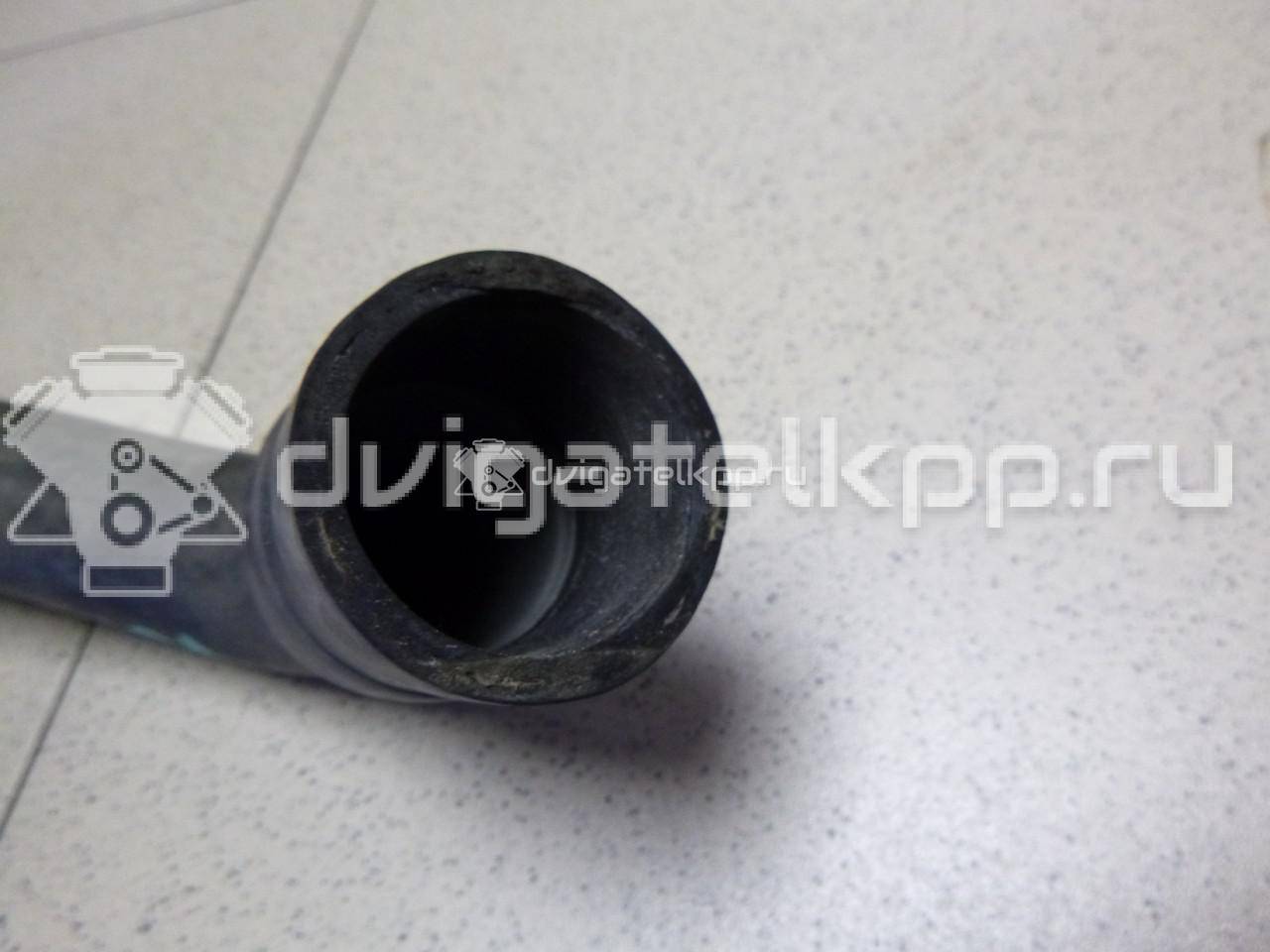 Фото Патрубок радиатора  51728345 для Fiat Panda {forloop.counter}}