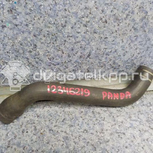 Фото Патрубок радиатора  51728345 для Fiat Panda