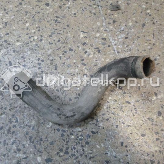 Фото Патрубок радиатора  55700528 для Fiat Grande Punto 199 / Punto