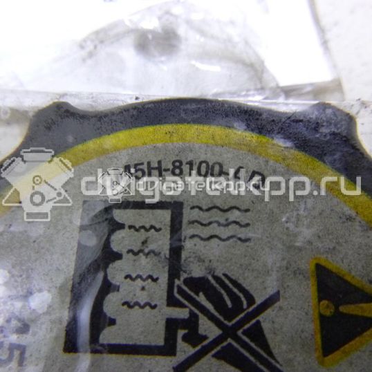 Фото Крышка расширительного бачка  3M5H8100AD для Ford Fiesta / Focus / Tourneo / C-Max / Ka