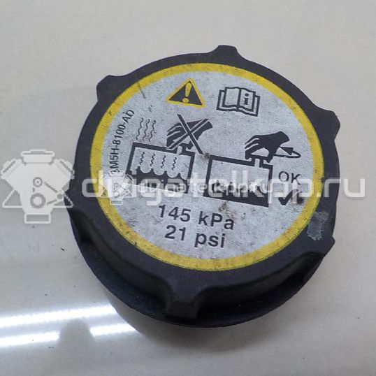 Фото Крышка расширительного бачка  1301104 для Ford Fiesta / Focus / Tourneo / C-Max / Ka