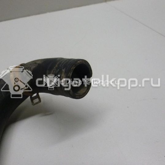 Фото Патрубок радиатора  1705463 для Ford Fiesta / B-Max Jk