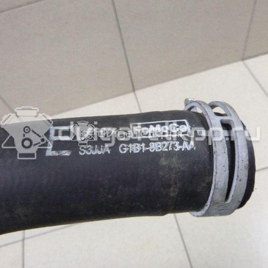 Фото Патрубок радиатора  1705463 для Ford Fiesta / B-Max Jk