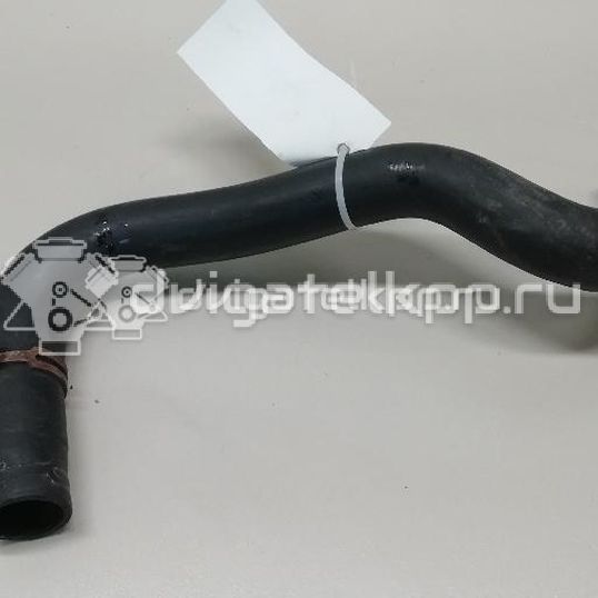 Фото Патрубок радиатора  1705463 для Ford Fiesta / B-Max Jk