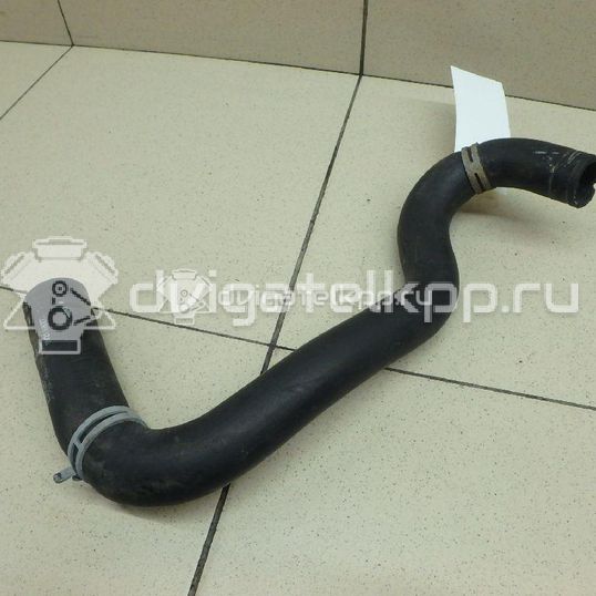 Фото Патрубок радиатора  8V218B273AD для Ford Fiesta / B-Max Jk
