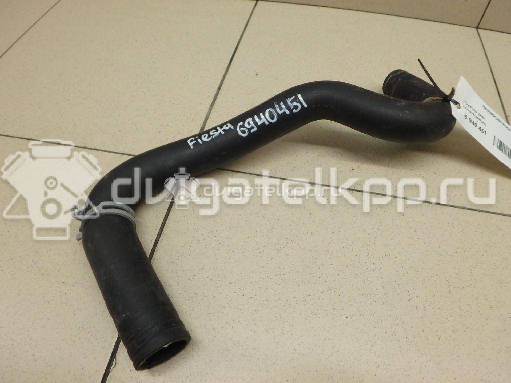 Фото Патрубок радиатора  8V218B273AD для Ford Fiesta / B-Max Jk {forloop.counter}}