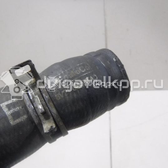 Фото Патрубок радиатора  8v218b273ad для Ford Fiesta / B-Max Jk