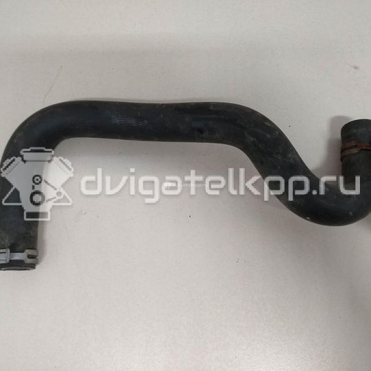 Фото Патрубок радиатора  8V218B273AD для Ford Fiesta / B-Max Jk