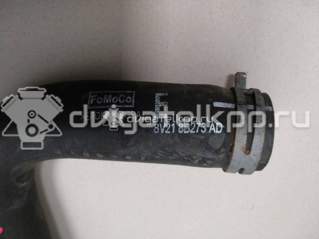 Фото Патрубок радиатора  8V218B273AD для Ford Fiesta / B-Max Jk {forloop.counter}}
