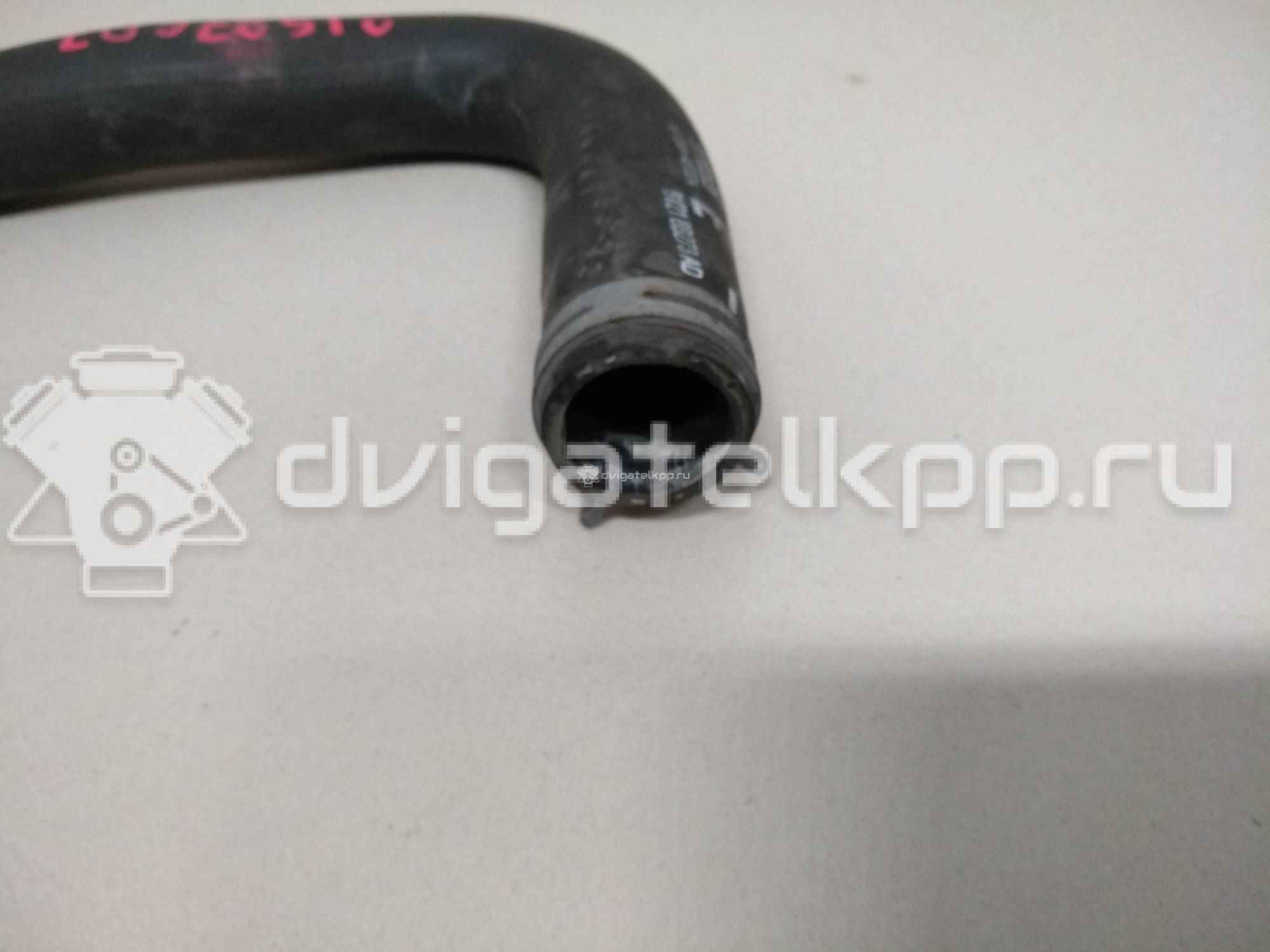 Фото Патрубок радиатора  8V218B273AD для Ford Fiesta / B-Max Jk {forloop.counter}}