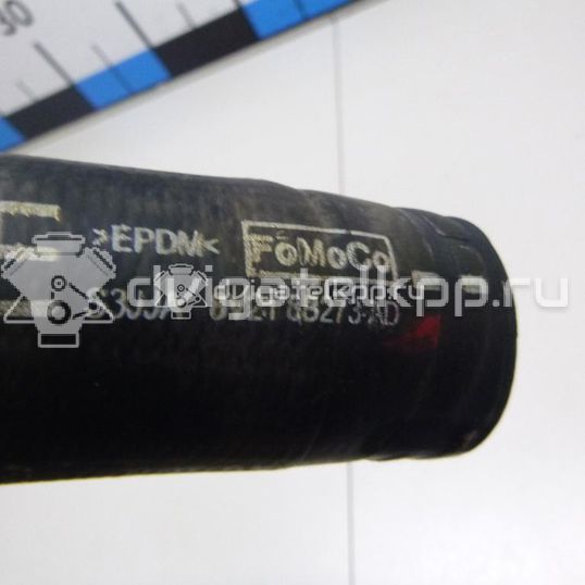 Фото Патрубок радиатора  8V218B273AD для Ford Fiesta / B-Max Jk