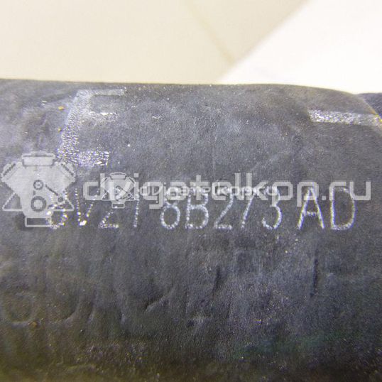 Фото Патрубок радиатора  8v218b273ad для Ford Fiesta / B-Max Jk