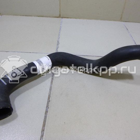 Фото Патрубок радиатора  8V218B274AF для Ford Fiesta