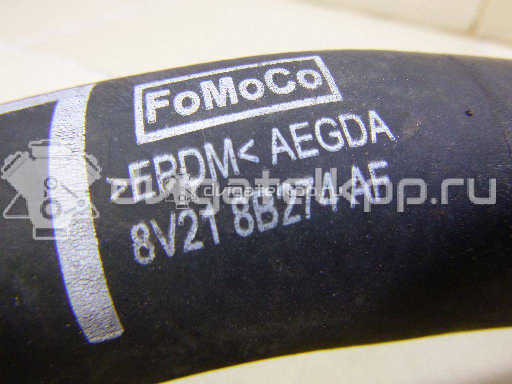 Фото Патрубок радиатора  8V218B274AF для Ford Fiesta {forloop.counter}}