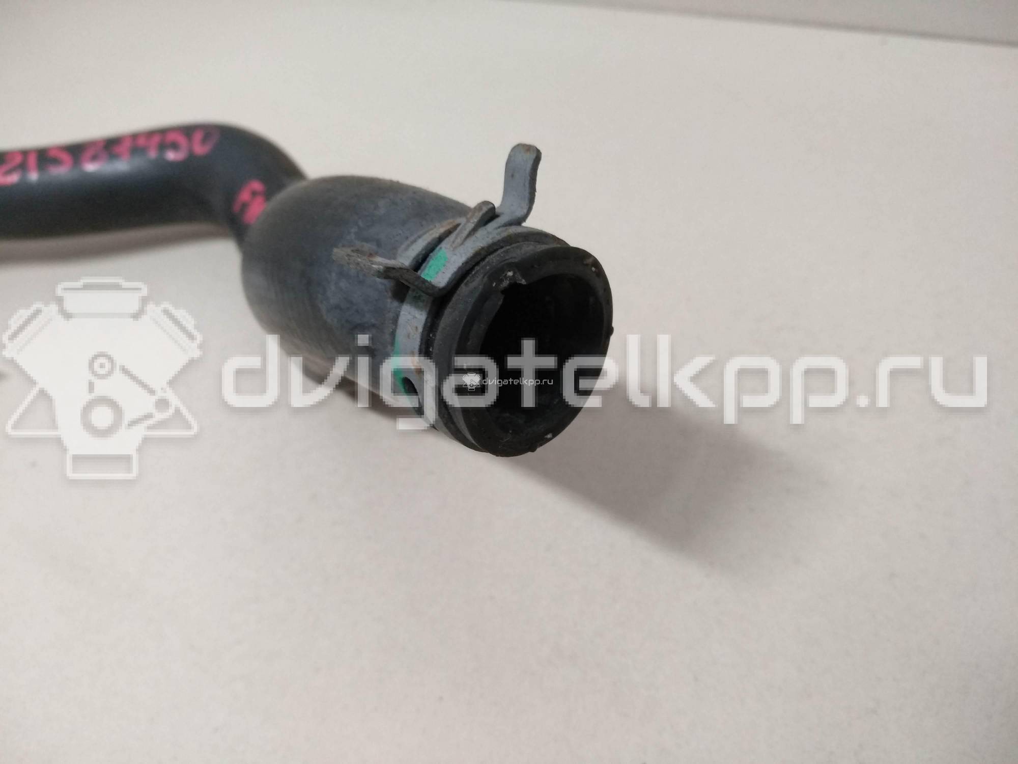 Фото Патрубок радиатора  8V218B274AF для Ford Fiesta {forloop.counter}}