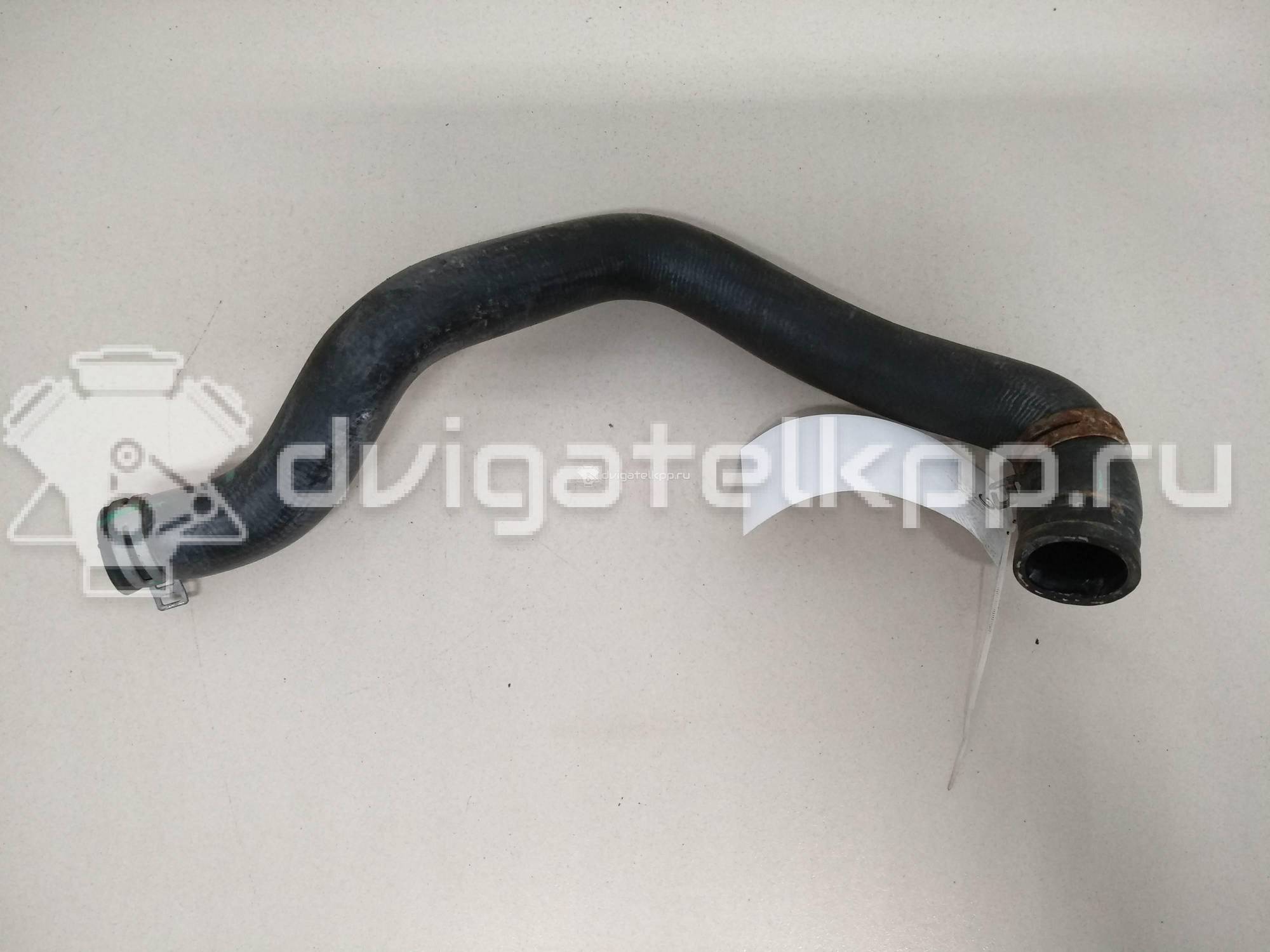 Фото Патрубок радиатора  8V218B274AF для Ford Fiesta {forloop.counter}}