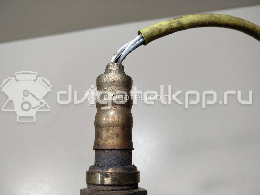 Фото Датчик кислородный/Lambdasonde  ae819g444ad для Ford Fiesta / Focus / Tourneo / Scorpio / Sierra {forloop.counter}}