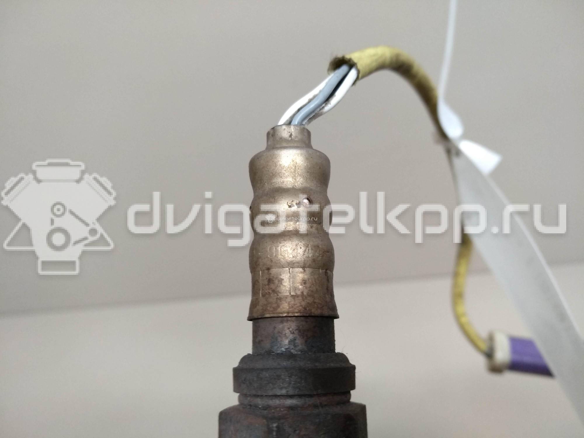 Фото Датчик кислородный/Lambdasonde  ae819g444ad для Ford Fiesta / Focus / Tourneo / Scorpio / Sierra {forloop.counter}}